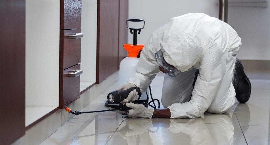 شركة مكافحة النمل الابيض بالجبيل | شركة أطهر بيت